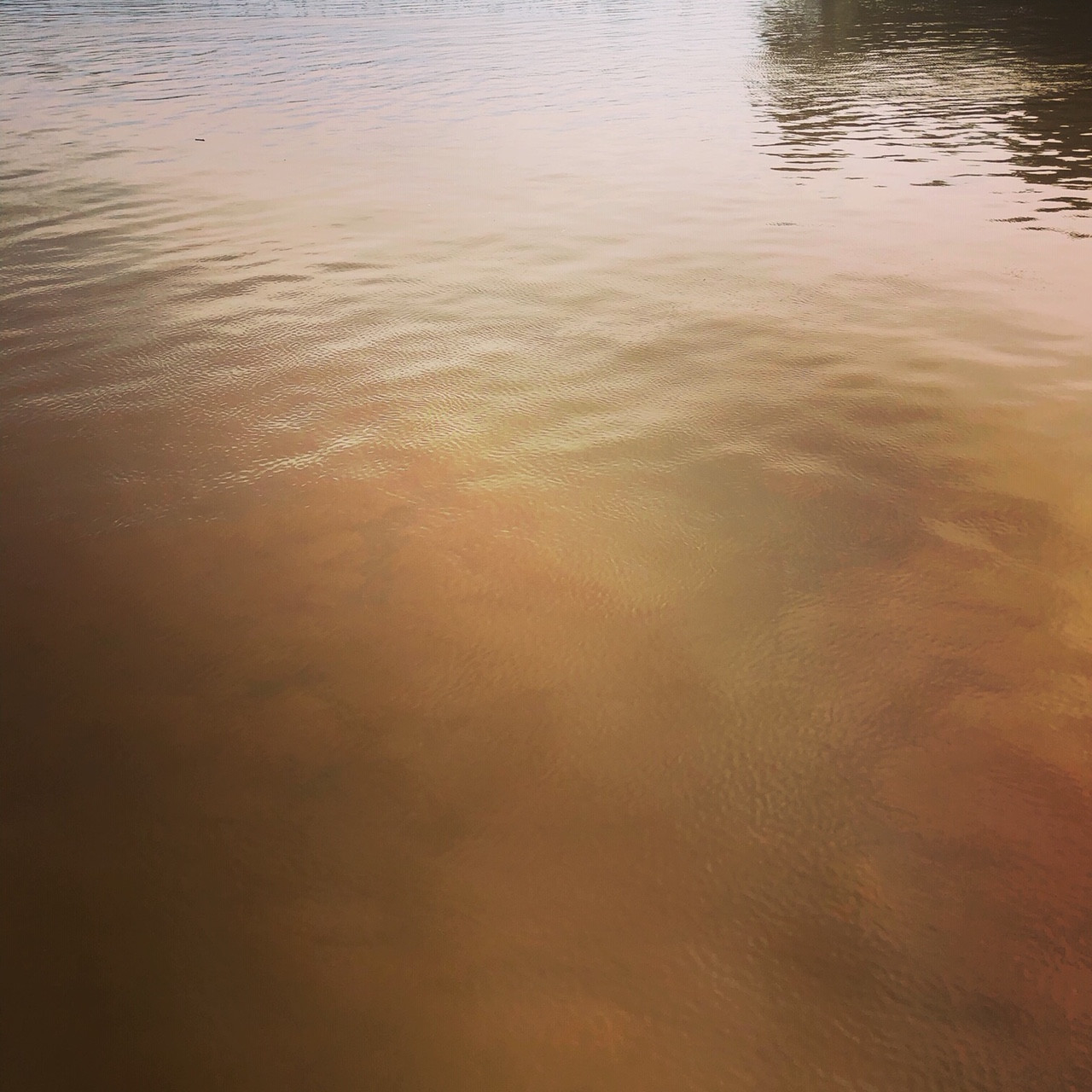 Confluence of the Licking River and Ohio River